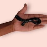 ELEGANT LOOP CURVED CLUTCH