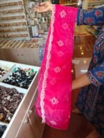 Silk Salwar Suit (3pc set) - Image 3